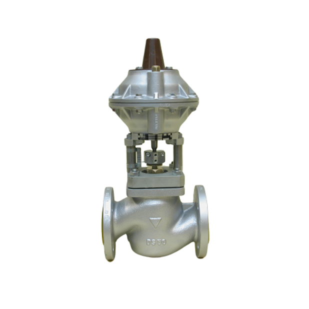 Pneumatic steam valve | BR.10.014